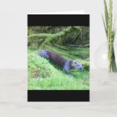 Search for riverside cards Wildlife