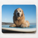 Search for surf board mousepads Beach