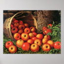 Search for baskets art Fruit