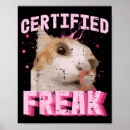 Search for certified posters Kitten