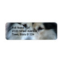 Search for wolf return address labels Canine