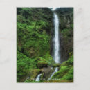 Search for lush green postcards Nature