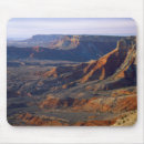 Search for eroded mousepads Usa