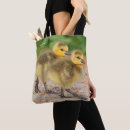 Search for goslings bags Bird