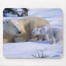 Search for garland mousepads Winter