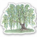 Search for weeping stickers Willow