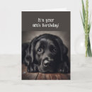 Search for black labrador retriever birthday cards Funny