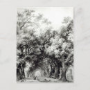 Search for shady postcards Tree