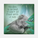 Search for koala magnets Cute koala bear