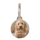 Search for photo pet tags Phone number