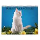 Search for ragdoll cat gifts Cute