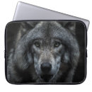 Search for black wolf Landscape