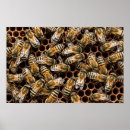 Search for hive posters Nature