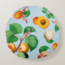 Search for apricot cushions Chic