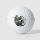 Search for bird golf balls Green