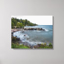 Search for superior Scenic