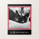 Search for crazy cat lady puzzles Kitten