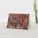 Search for abstract trees cards Leaves