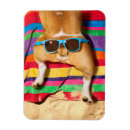 Search for dog butt magnets Funny