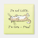 Search for cat magnets Kitty