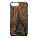 Search for sequoia iphone cases Redwood
