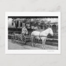 Search for pull postcards Lantern