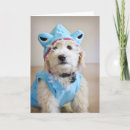 Search for mixed breed cards Cute