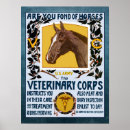 Search for vintage veterinary posters Horse