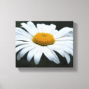 Search for face canvas prints Floral