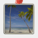 Search for fiji christmas tree decorations Coast