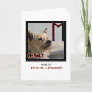 Search for companion cards Dog