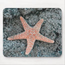 Search for starfish mousepads Ocean