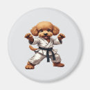 Search for martial arts magnets Jiu jitsu