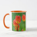 Search for gallo mugs Nobody
