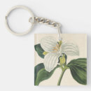 Search for french illustrator key rings Botany