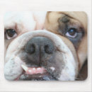 Search for rescue mousepads English