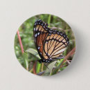 Search for orange black white badges Butterfly