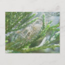 Search for retreat postcards Nature