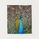 Search for peacock art Teal