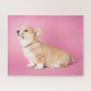 Search for corgi puzzles Canine