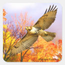 Search for autumn bird stickers Nature