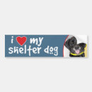Search for black labrador bumper stickers Heart