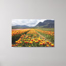 Search for north america canvas prints Orange
