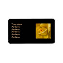 Search for macro labels Yellow