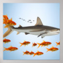 Search for big fish art Goldfish