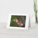 Search for blank photo cards Floral