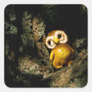 Search for owl with stickers Nature