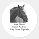 Search for ride a cowboy stickers Equine