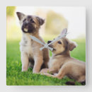 Search for german shepherd clocks Cute