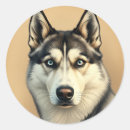 Search for huskies stickers Animal